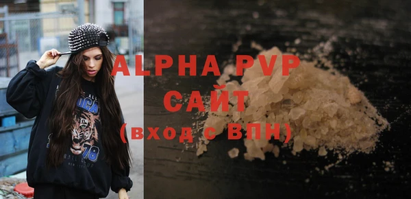 гашик Коряжма
