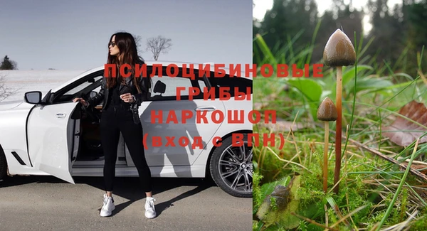 mdpv Кинешма