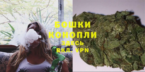 гашик Коряжма