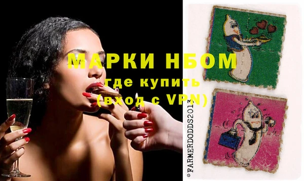 гашик Коряжма